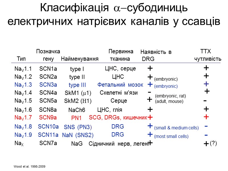 Класифікація субодиниць електричних натрієвих каналів у ссавців + + (embryonic) - + + + Класифікація субодиниць електричних натрієвих каналів у ссавців + + (embryonic) - + + +